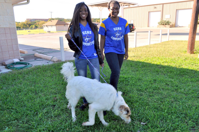 Copperettes shelter visit